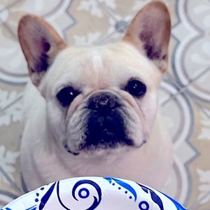 Meet your Posher, Carmen